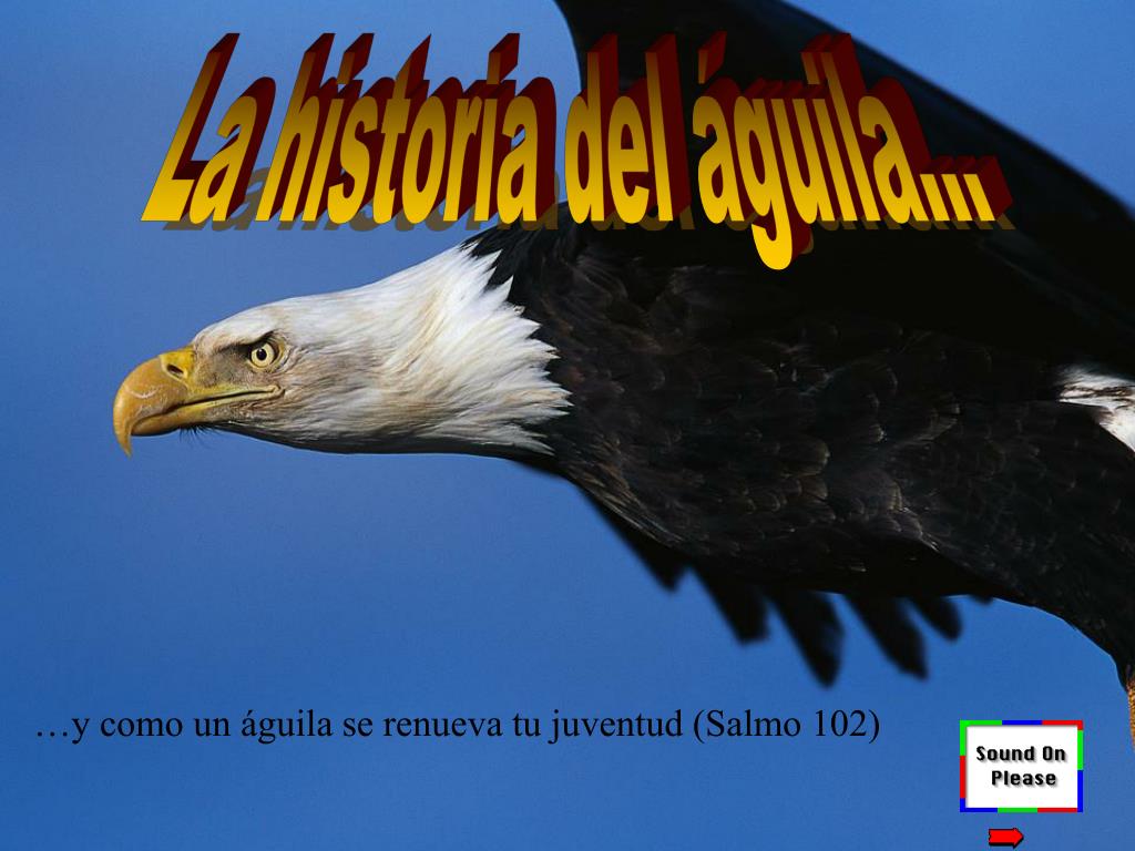 PPT La historia del águila... PowerPoint Presentation, free download