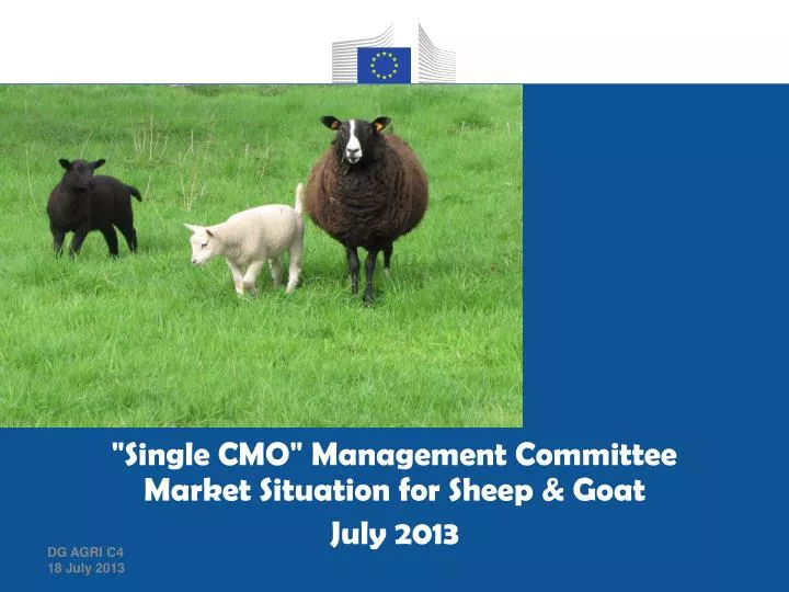 single cmo management committee market situation for sheep goat july 2013 n.