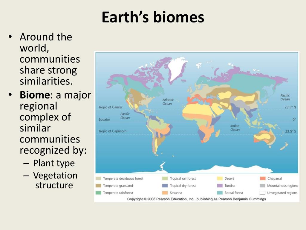 More world types. Biomes Earth. Биология World Biomes. Биомы England.