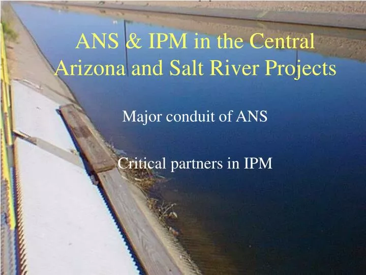 ppt-ans-ipm-in-the-central-arizona-and-salt-river-projects