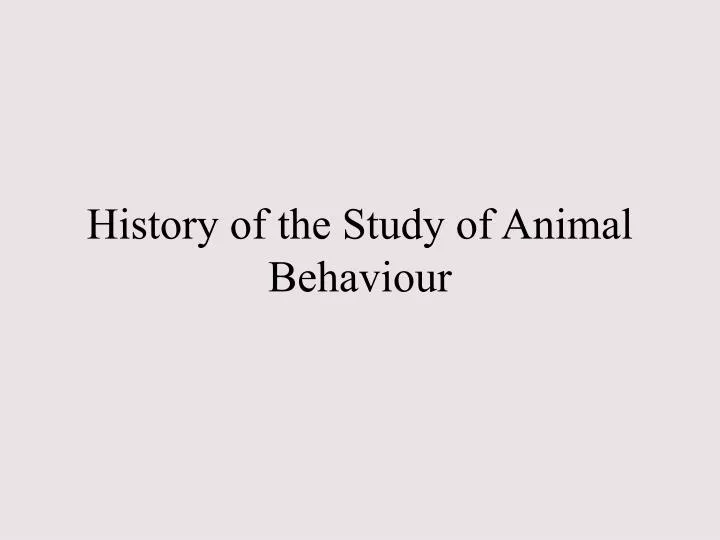 animal behavior essay titles