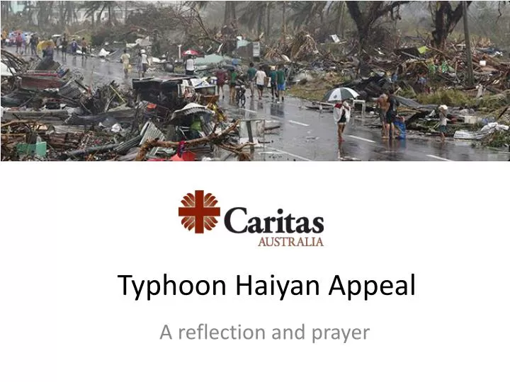 typhoon haiyan appeal n.