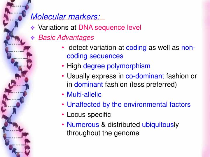 thesis on molecular markers A molecular weight marker such as a known protein or standard that produces bands of known size, migrates to the resolving gel, and is. thesis on molecular markers A molecular weight marker such as a known protein or standard that produces bands of known size, migrates to the resolving gel, and is.