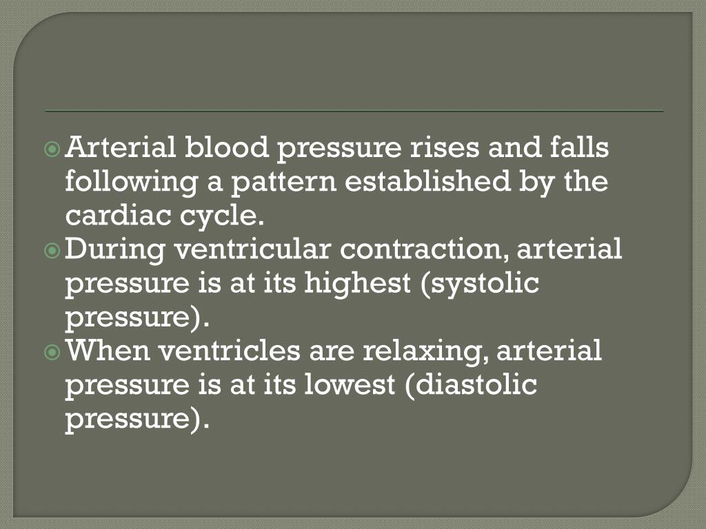 PPT - Cardiovascular System: Blood Vessels and Circulation PowerPoint ...