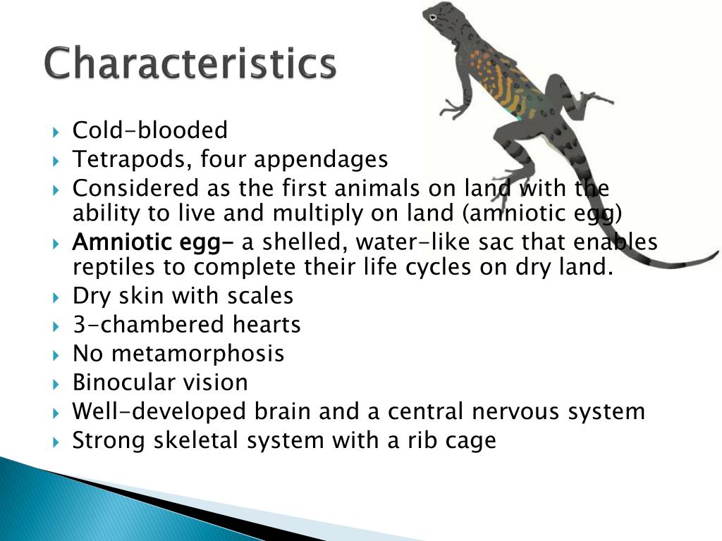 noteworthy characteristics list