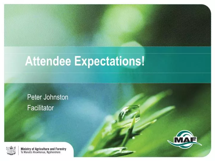 attendee expectations n.