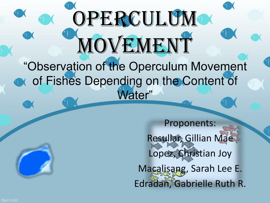 PPT - Proponents: Resullar, Gillian Mae Lopez, Christian Joy Macalisang ...