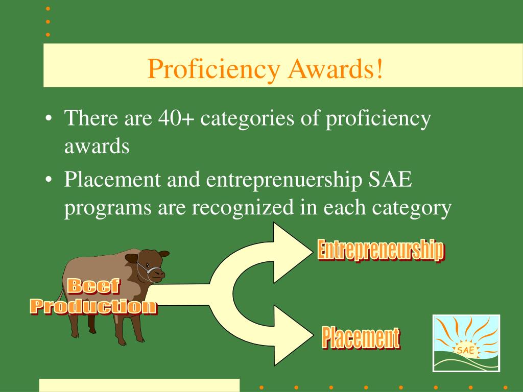 What Are Proficiency Awards