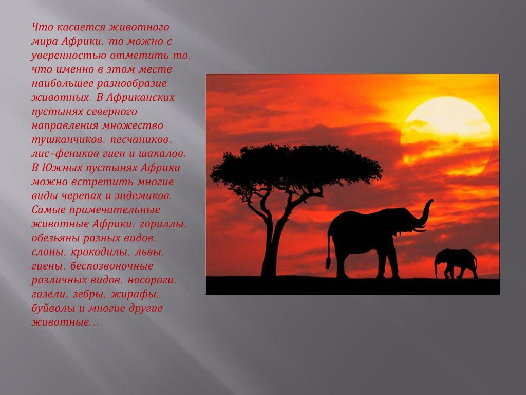 Животные саванны доклад 1 класс окружающий мир. Тема Африка. Африка презентация. Проект животные Африки. Проект на тему животные Африки.