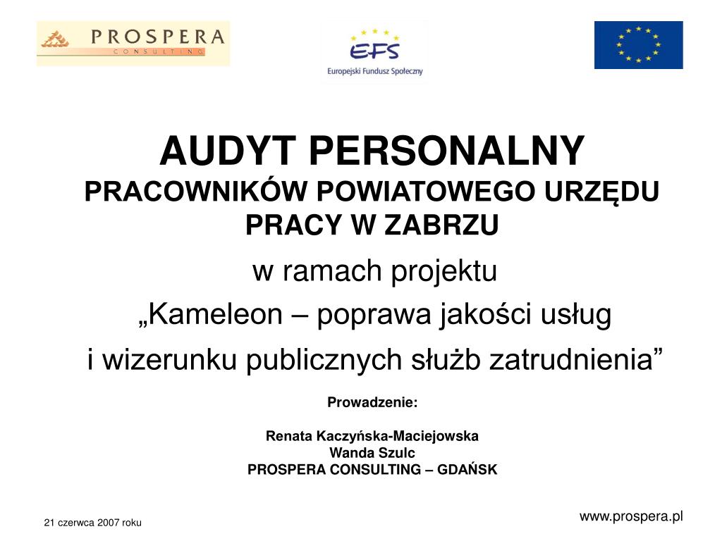 PPT - AUDYT PERSONALNY PRACOWNIKÓW POWIATOWEGO URZĘDU PRACY W ZABRZU  PowerPoint Presentation - ID:6226475