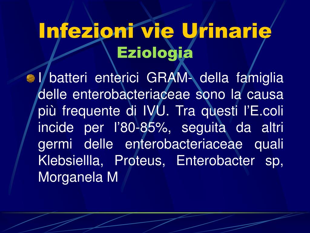PPT Le infezioni delle vie urinarie cosa c’è di nuovo? PowerPoint