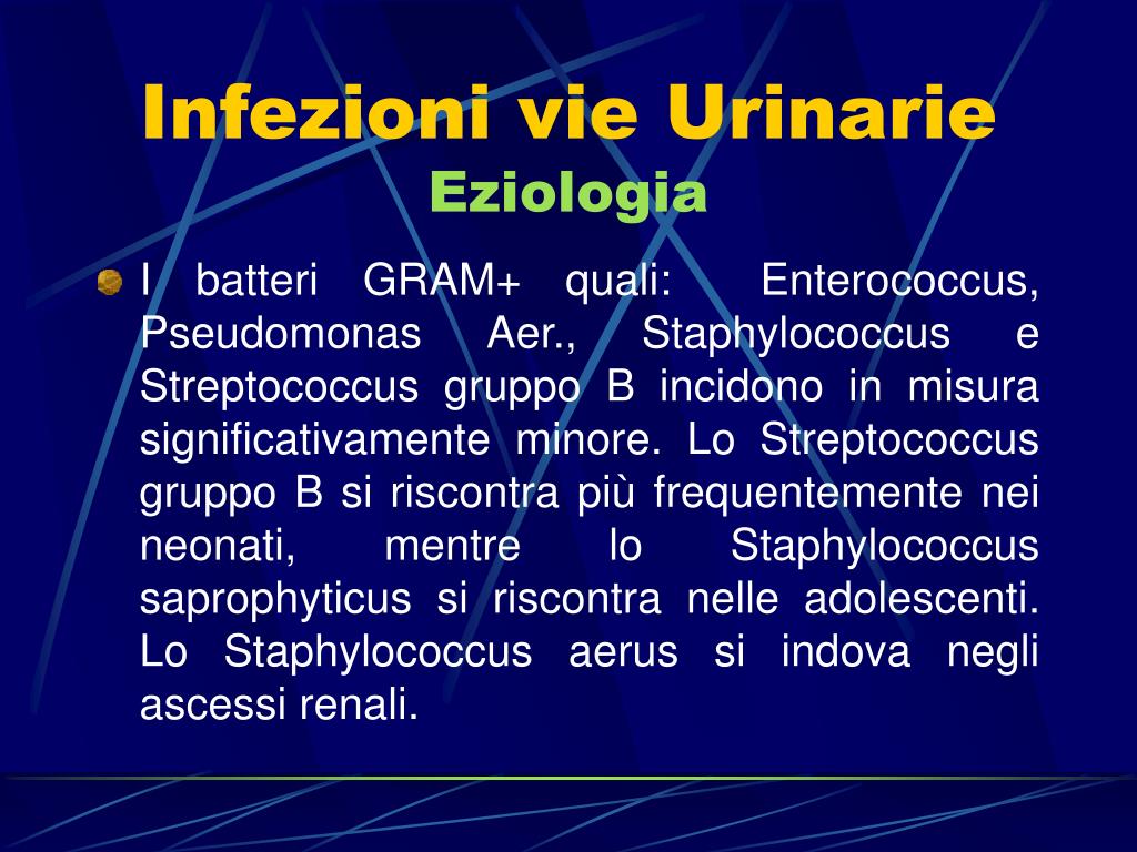 PPT Le infezioni delle vie urinarie cosa c’è di nuovo? PowerPoint