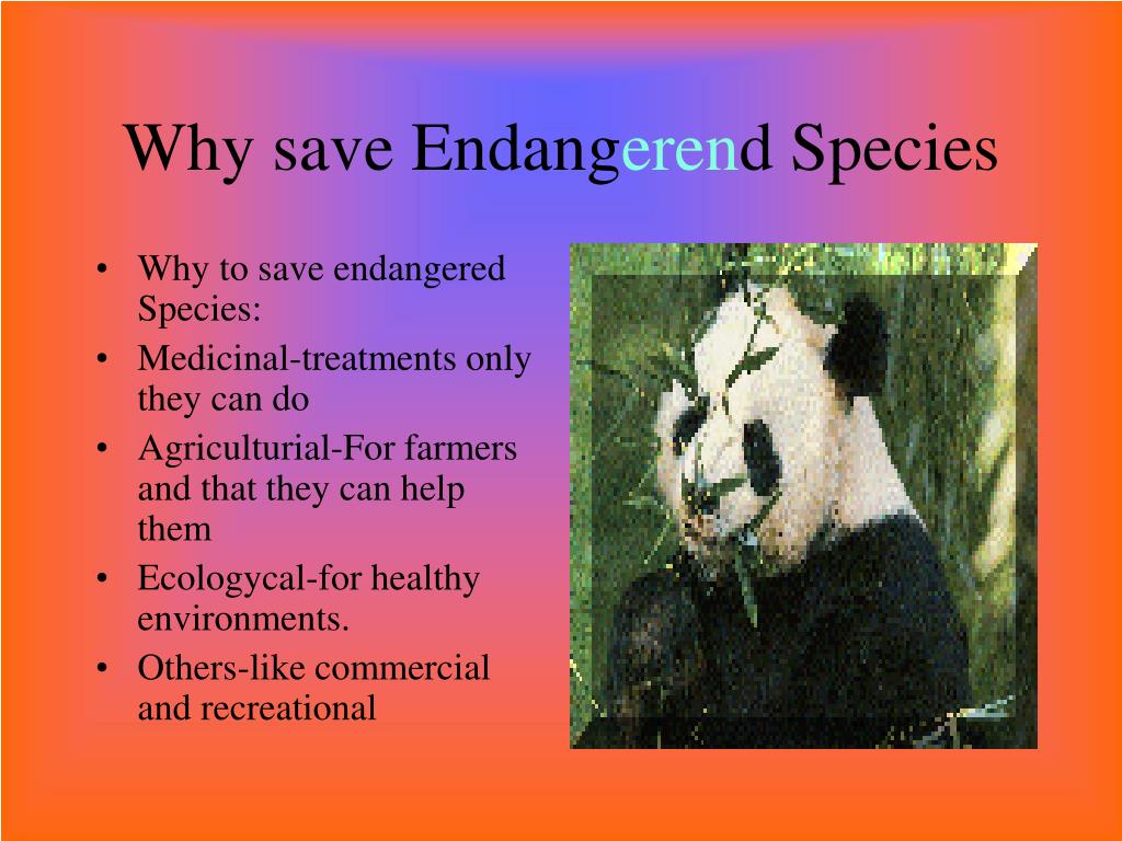 speech on endangered species need protection