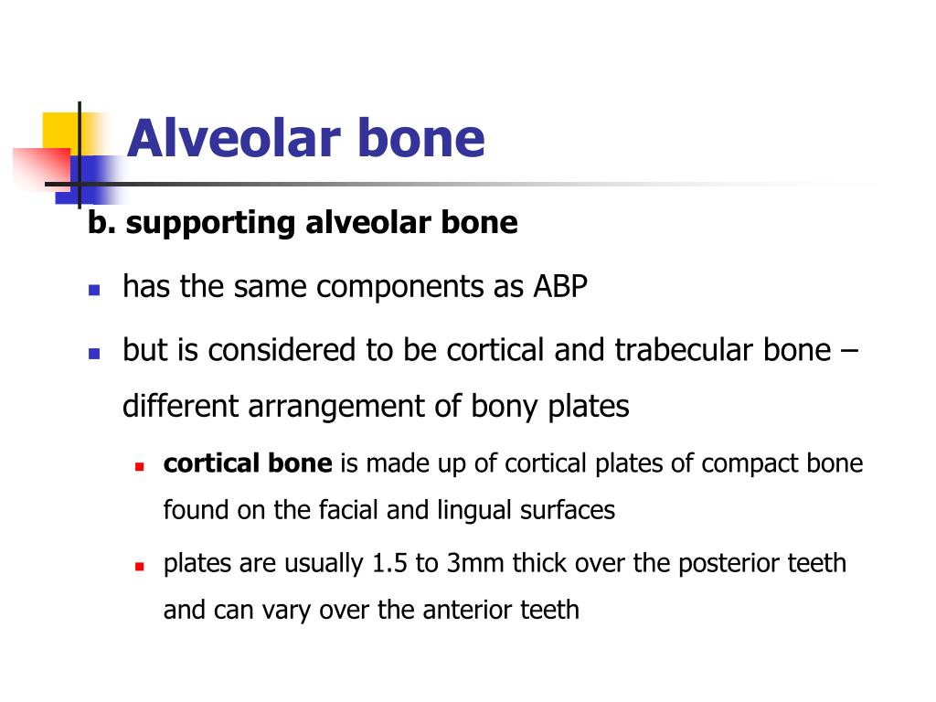 PPT Bone and alveolar bone PowerPoint Presentation, free download