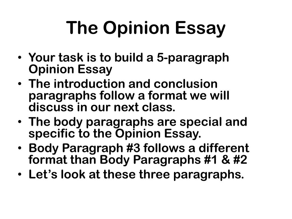 an essay opinion