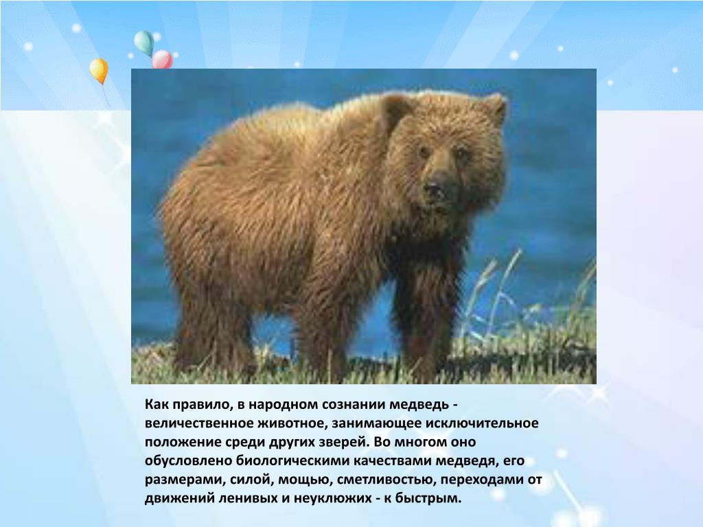Неофициальный символ россии медведь. Медведь символ России. Символ России животное медведь. Медведь символ России кратко. Бурый медведь неофициальный символ России.
