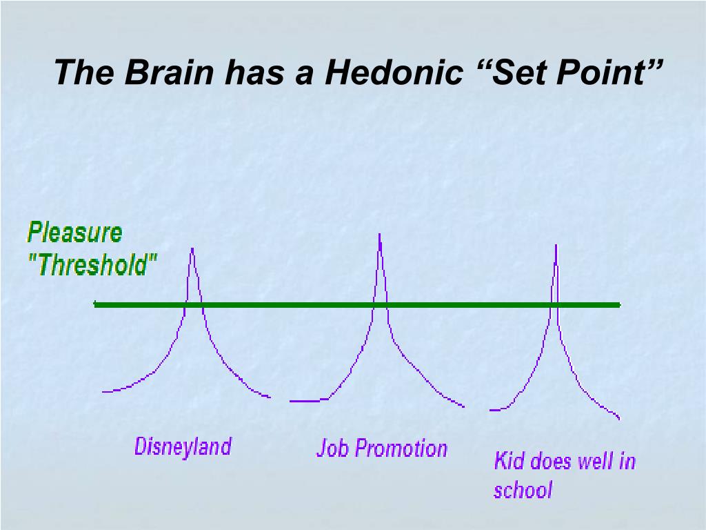 hedonic set point hedonic set point