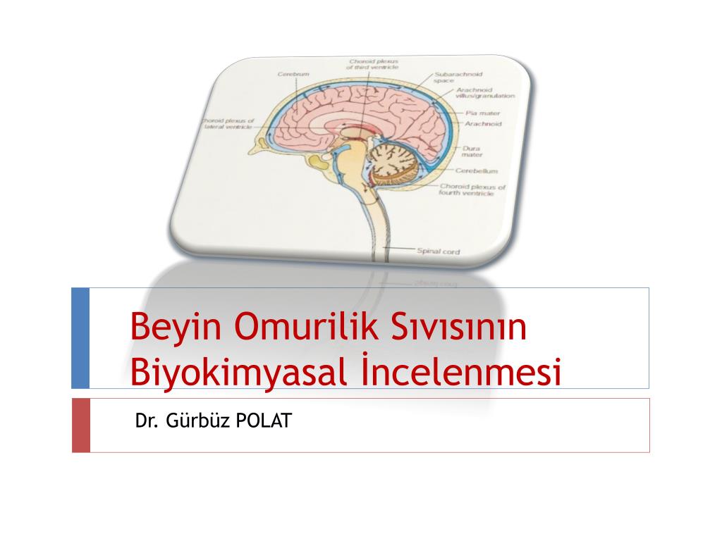 Beyin kanaması ile Etiketlenen Konular Beyin kanaması ile Etiketlenen Konular
