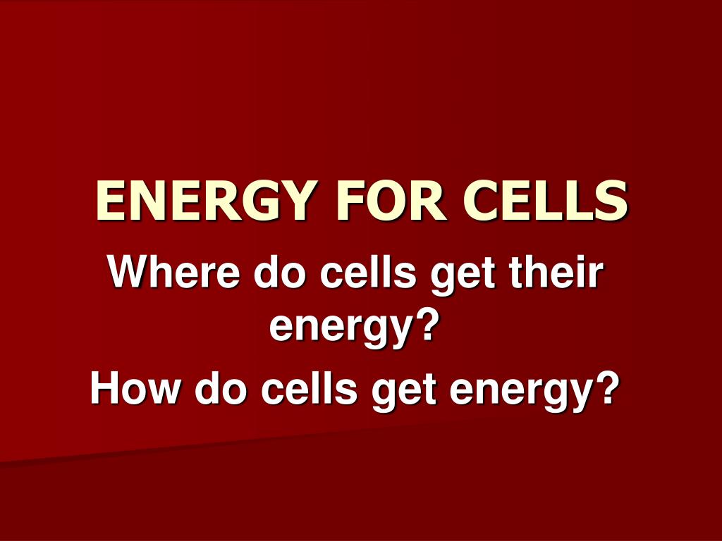 Ppt Cell Energy Powerpoint Presentation Free Download