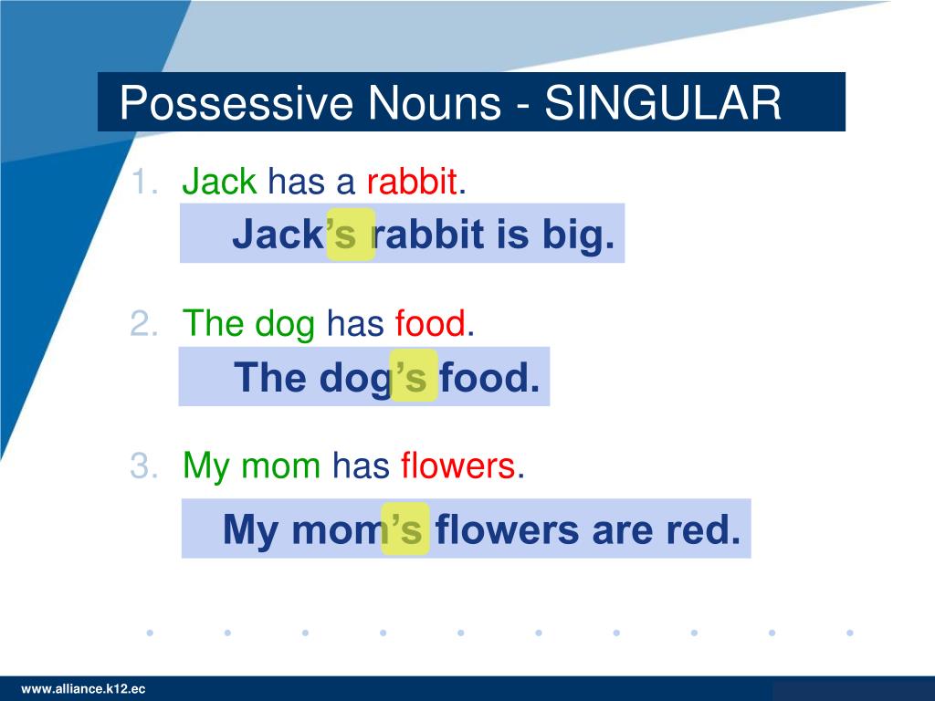 what is a possessive nouns