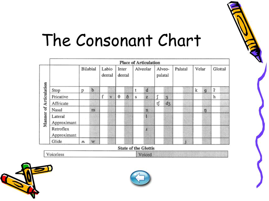 Consonant Features Chart