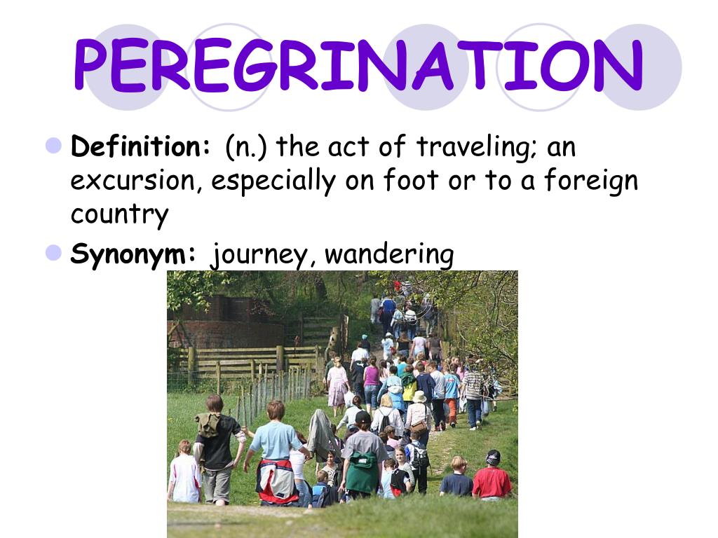 peregrination in sentence