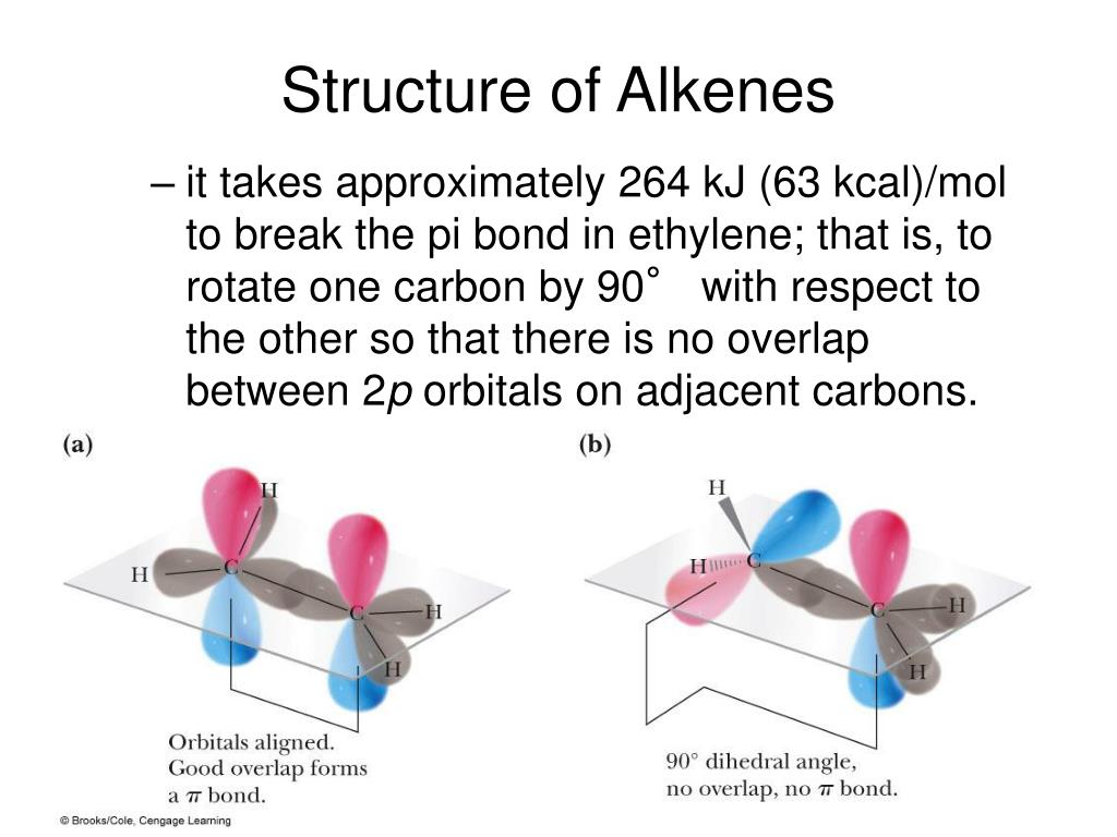 PPT - NOMAN CLATURE OF ALKENE,ALKYNE,ARENES Unsaturated Hydrocarbons