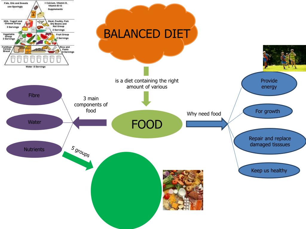 assignment of balanced diet