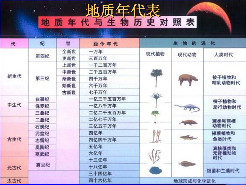Ppt 脊椎动物学 54 学时 Powerpoint Presentation Free Download Id