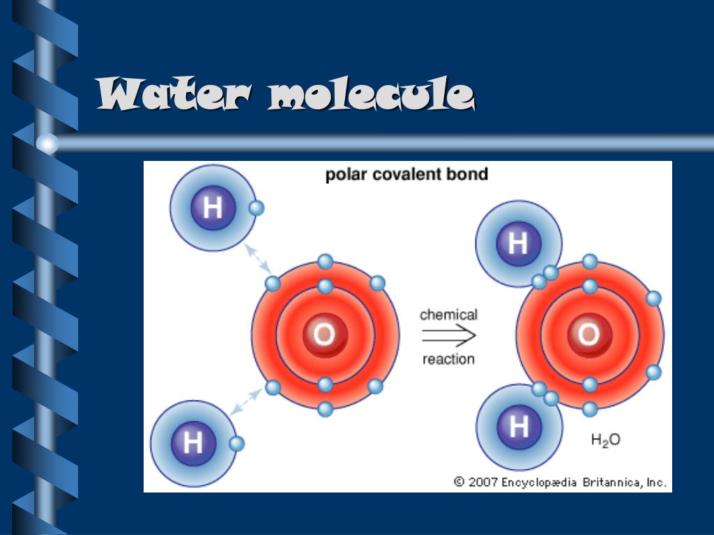 presentation on water molecules