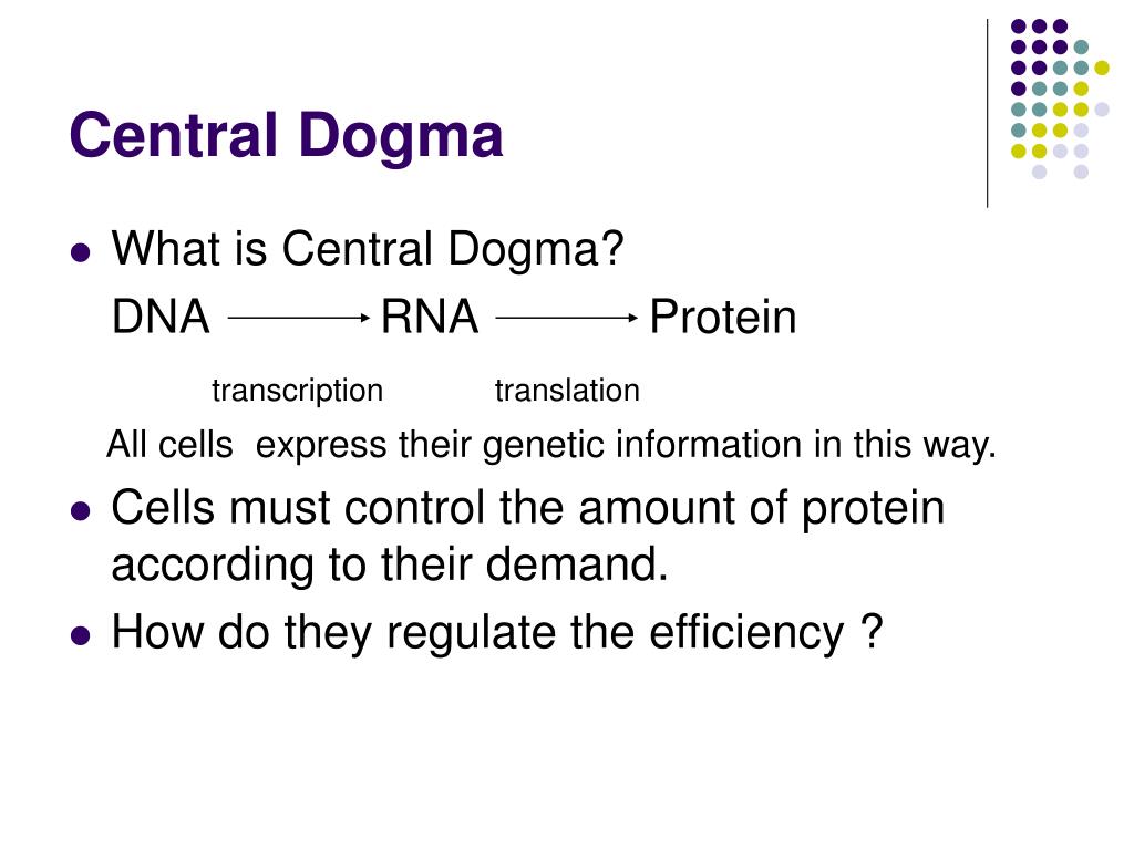 seminar speech central dogma of molecular biology l seminar speech central dogma of molecular biology l
