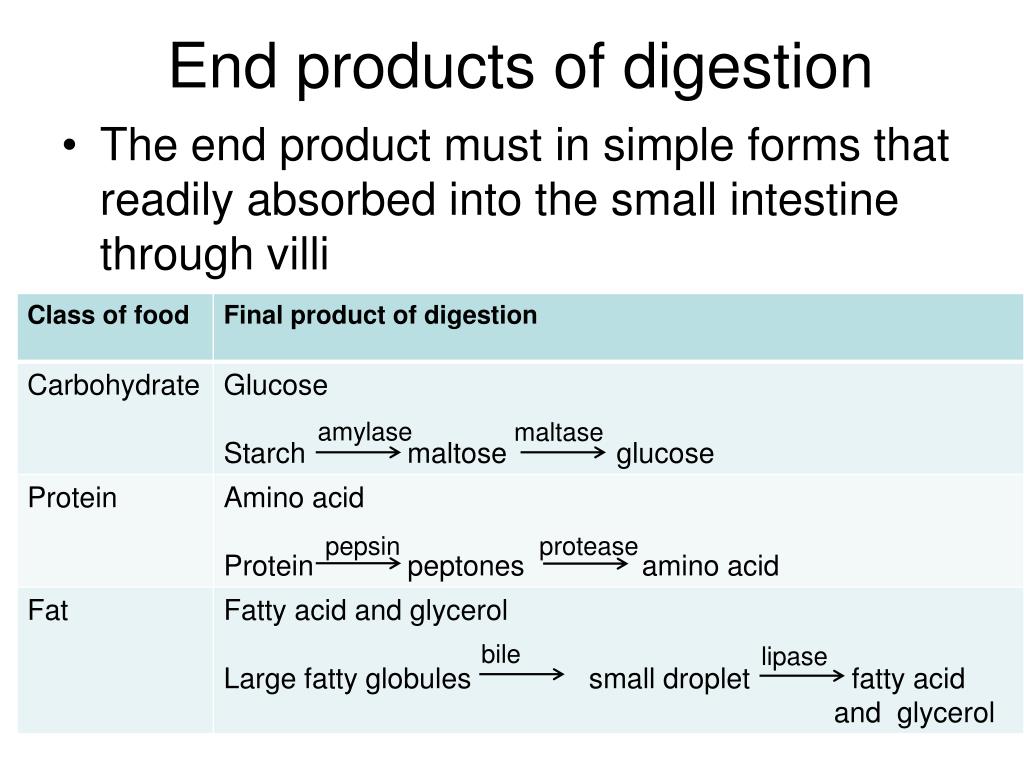 PPT 2.3 HUMAN DIGESTIVE SYSTEM PowerPoint Presentation, free download