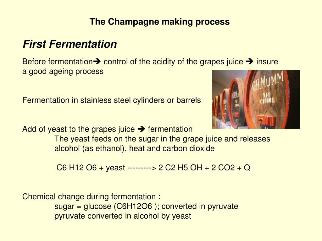 PPT Champagne making process PowerPoint Presentation, free download
