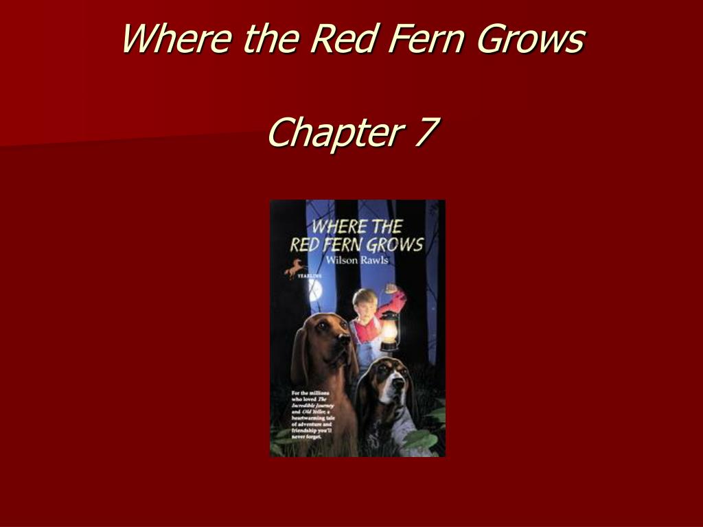 PPT Where the Red Fern Grows Chapter 7 PowerPoint Presentation, free