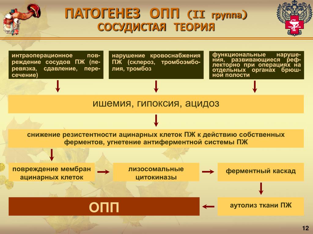 Острая почечная недостаточность патогенез