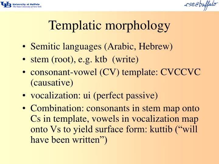 PPT Brief introduction to morphology PowerPoint Presentation ID6253333