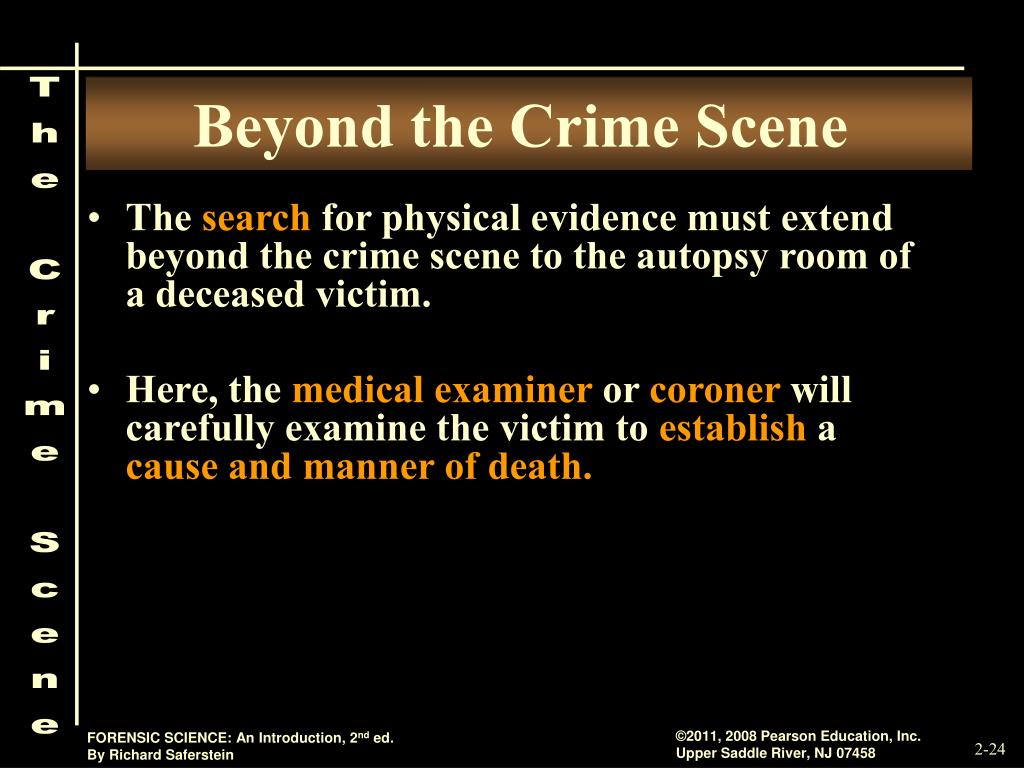 PPT - THE CRIME SCENE PowerPoint Presentation, Free Download - ID:6256751