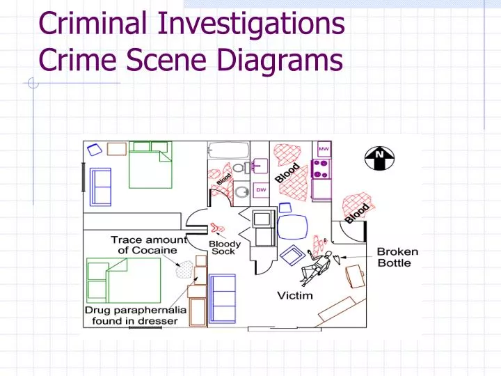 Unveiling The Story: A Comprehensive Guide To Crime Scene Mapping - USA ...