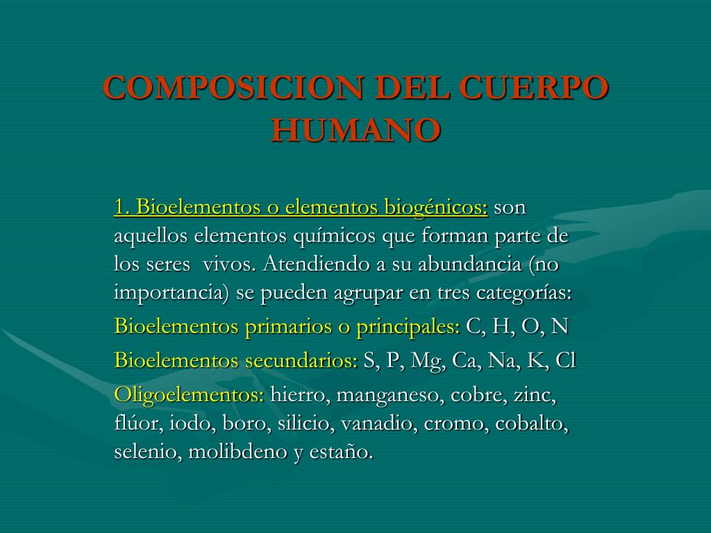 PPT - COMPOSICION DEL CUERPO HUMANO PowerPoint Presentation, free download  - ID:6258112