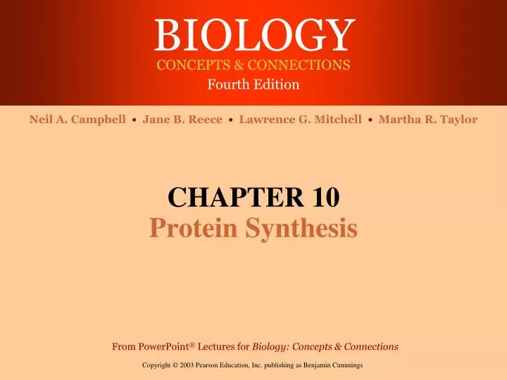 online homework 10 protein synthesis