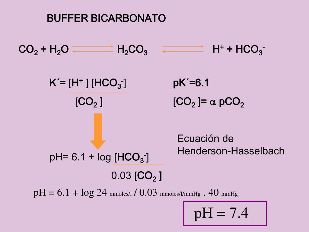Ca hco3 2 mg no3 2. Эквивалент MG hco3 2. Hco3 на что распадается. MG hco3 2 разложение. CA hco3 2 диссоциация.