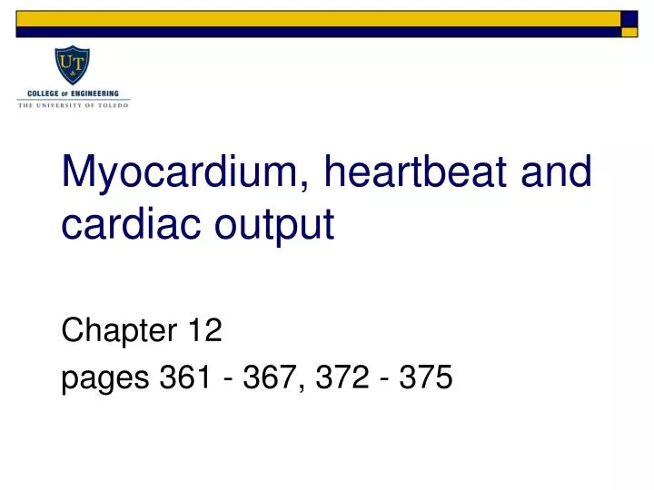 myocardium heartbeat and cardiac output n.