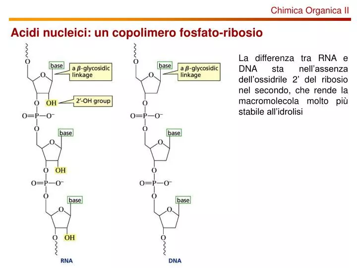 Differenza Tra Chimica Organica E Inorganica