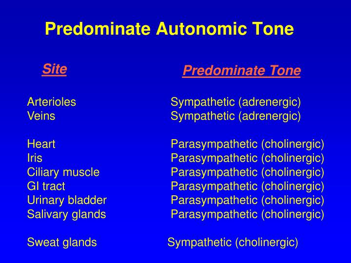 What Is Autonomic Tone