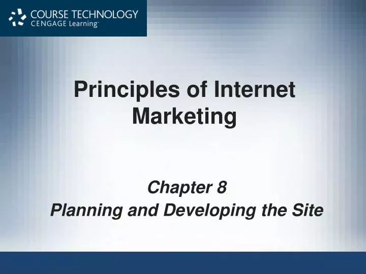principles of internet marketing n.