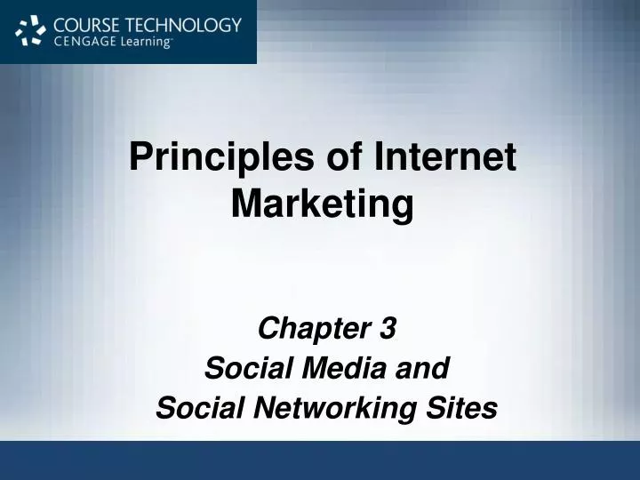 principles of internet marketing n.