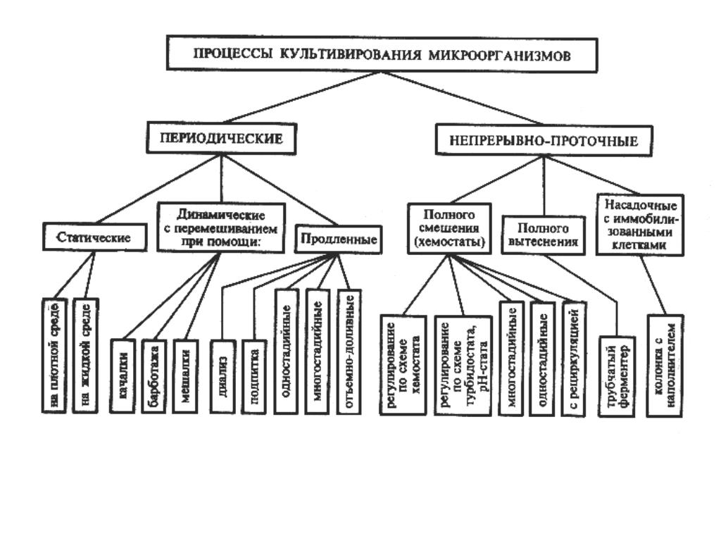 Культивация бактерий. Классификация способов культивирования микроорганизмов. Схема классификация клеточных культур микробиология. Методы культивирования микроорганизмов микробиология. Непрерывное культивирование схема.