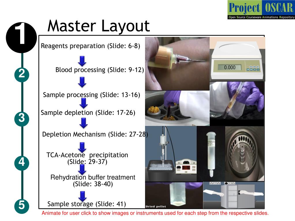PPT - Methodology for the extraction of proteins from serum PowerPoint  Presentation - ID:6263197
