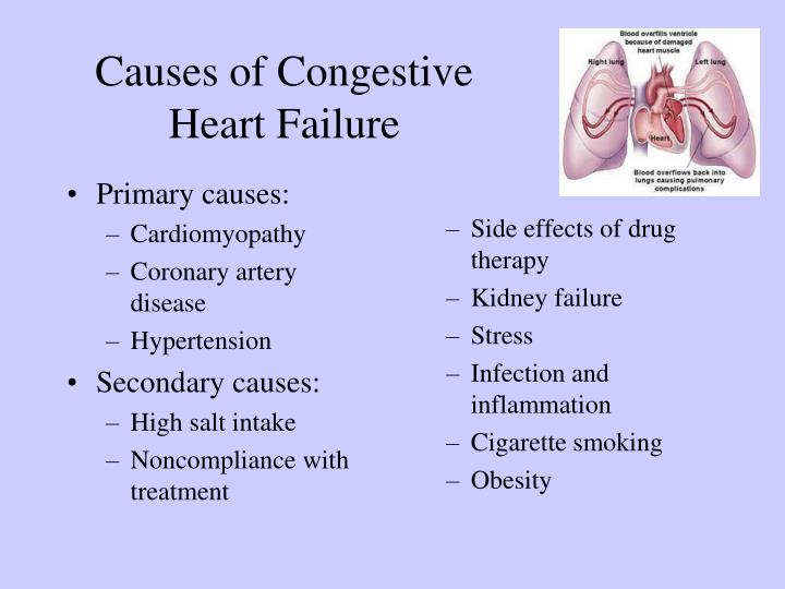 PPT Cardiotonic drugs PowerPoint Presentation ID6263816