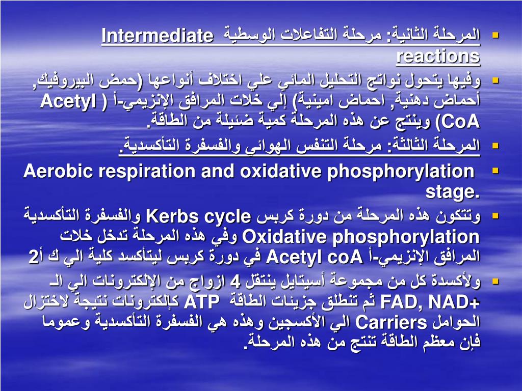 Ppt التنفس Respiration Powerpoint Presentation Free Download